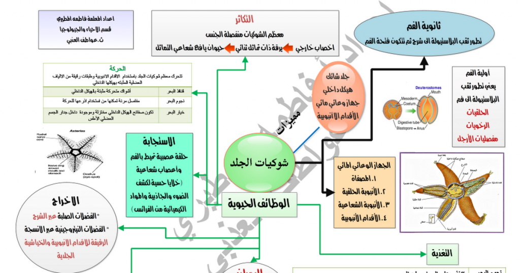 شوكيات الجلد pdf