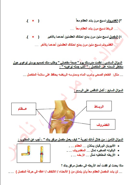 حل تقويم الوحدة الثالثة علوم الصف السابع